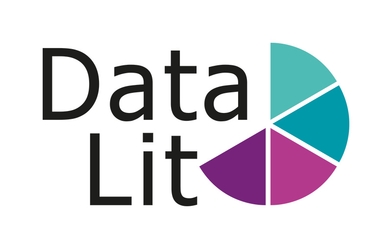 Datalit logo