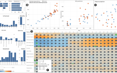 Data Visualization tool to Support the Sensemaking and Selection of Machine Learning Models